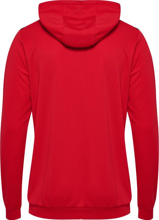 Actual product image hummel Hmlauthentic Pl Hoodie (S)