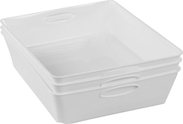 Immagine prodotto Rotho Scatola vivente (21,5 x 6 x 21,5 cm, 0 l)