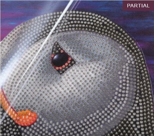 Actual product image Craft Buddy Puffin, Card 18x18cm Crystal Art