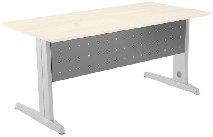 Actual product image Rocada Modesty screen grey 120.0 x 30.0 cm