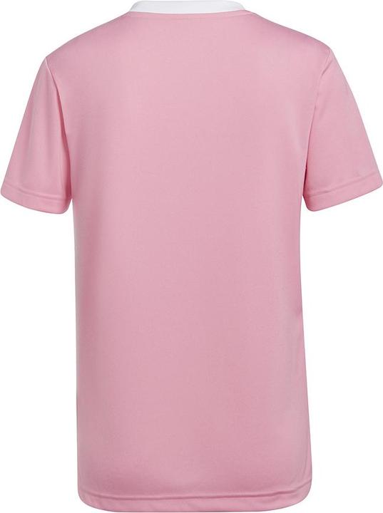 Produktbild adidas Entrada 22 Fussballtrikot Damen (S)
