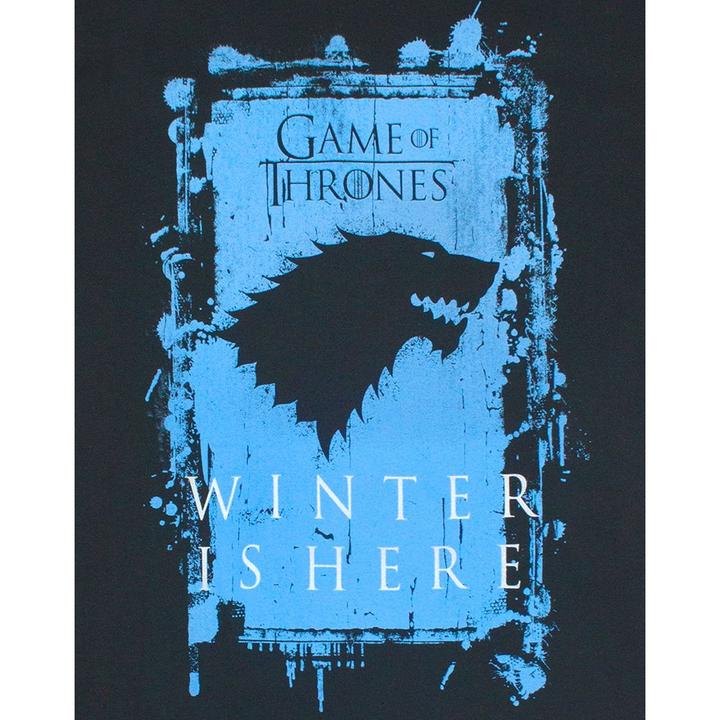 Actual product image Game of Thrones Tshirt (L)