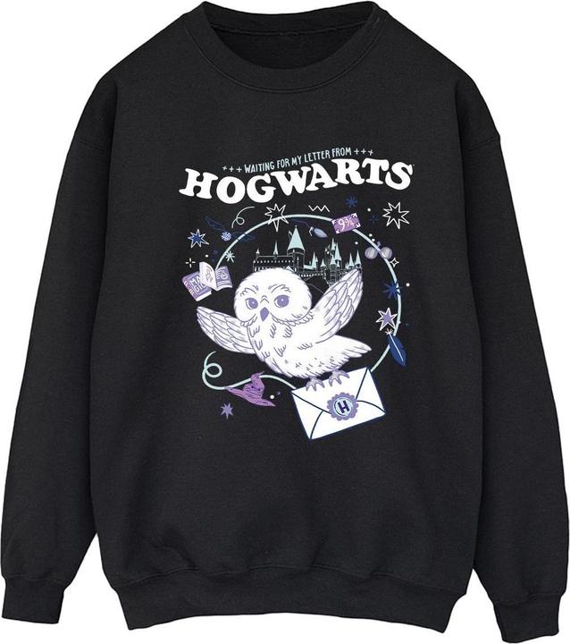 Owl Letter From Hogwarts Sweatshirt (XL)