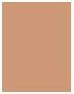 Actual product image Bourjois Healthy Mix Clean & Vegan Radiant Foundation (55.5C Honey)