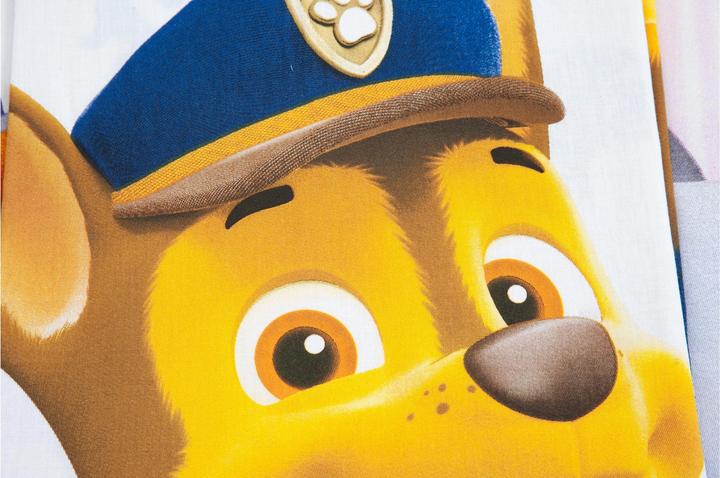 Actual product image Herding Paw Patrol