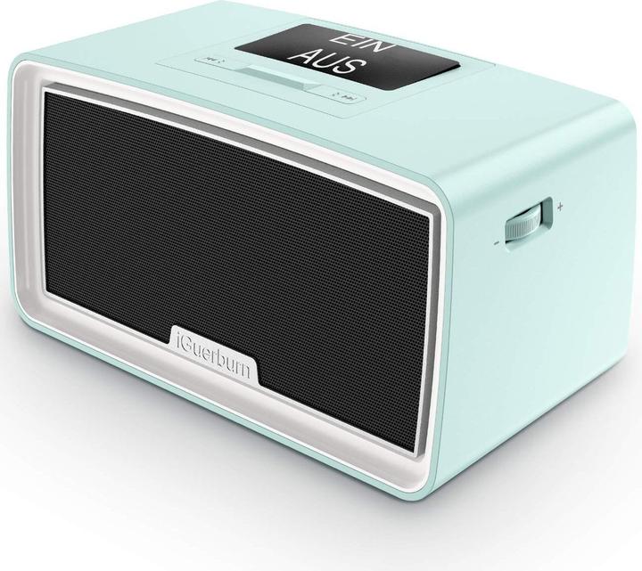 IGuerburn 16GB MP3 Player for Dementia Patients Blue