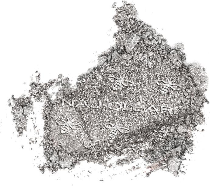 Immagine prodotto Naj Oleari Colour Fair Eyeshadow Wet&Dry 19 Argento siderale 2g (19 argento stellato)