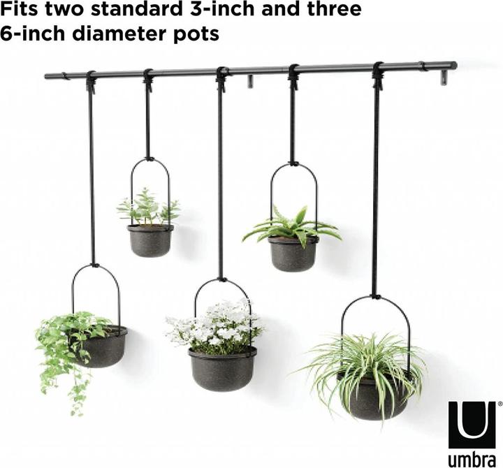 Image du produit Umbra Triflora (137 cm)