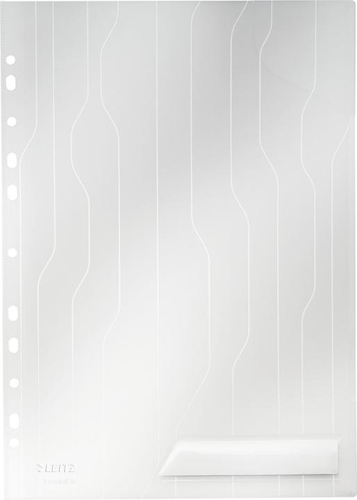 Actual product image Leitz CombiFile (A4, 5 x)