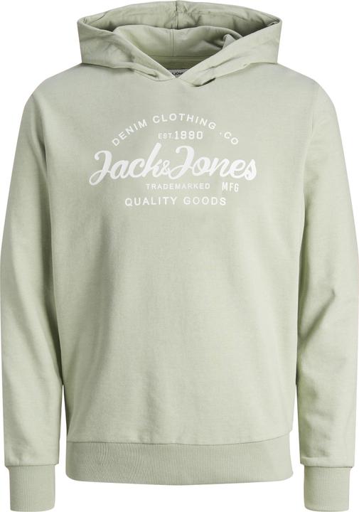 Jack & Jones Jjforest Sweat Hood Jnr (140)