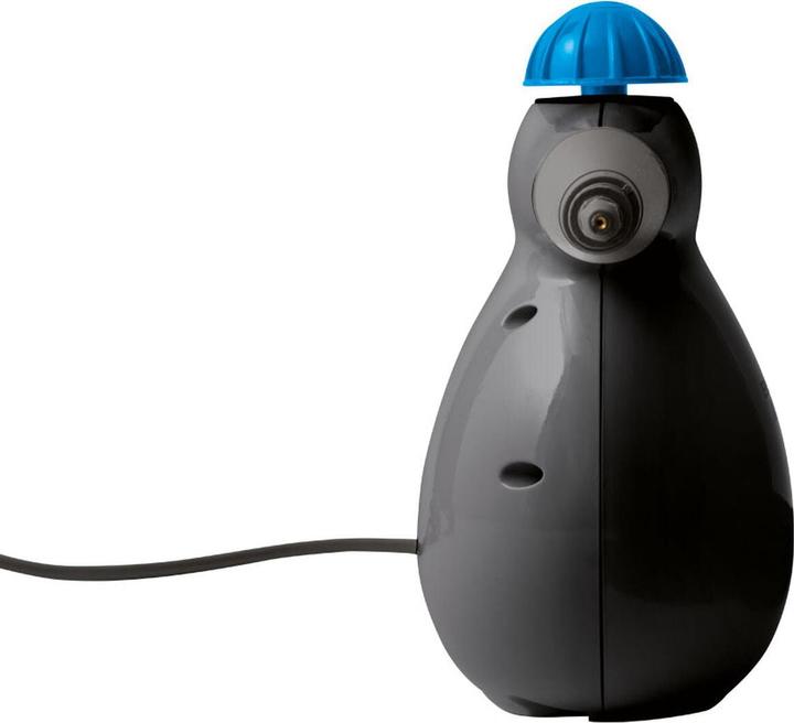 Image du produit Bissell grenaille de vapeur (4.50 bar, 1000 W)