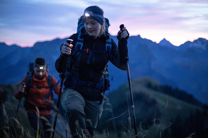 Image du produit Forclaz 1 POLE DE TREKKING MT 900 172316