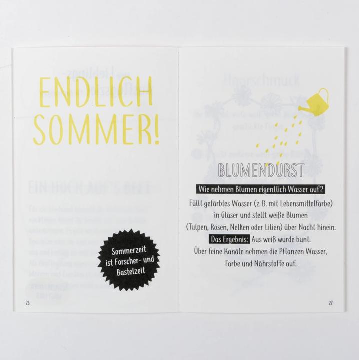 Produktbild Das gewünschteste Wunschkind aller Zeiten treibt mich in den Wahnsinn (Deutsch, Danielle Graf, Katja Seide, 2022)