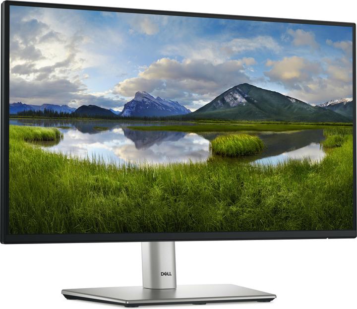 Dell P2225H (1920 x 1080 Pixel, 21.50")