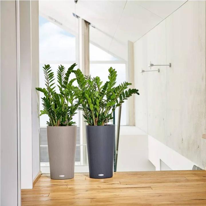 Actual product image Lechuza Cilindro 32 (32 cm)