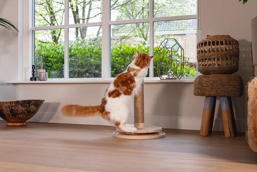 Actual product image Designed by Lotte Zavi (62 cm, Brown)
