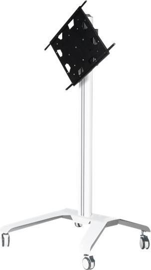 b-tech Momentum Edge XL Interactive