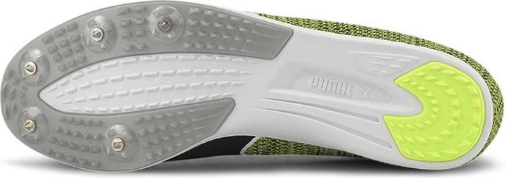 Actual product image Puma Evospeed Distance 8 (44.5)
