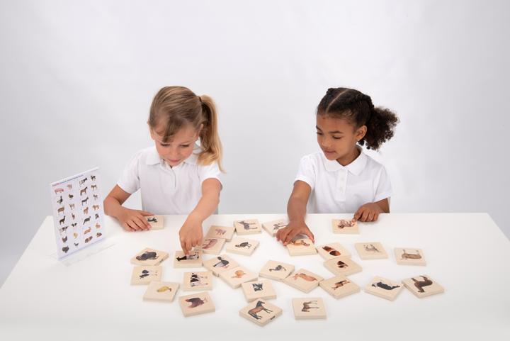 Image du produit TickiT Jeu de paires d'images d'animaux domestiques (Mémo) en bois (28 pièces) (Français, Allemand, Anglais, Italien)