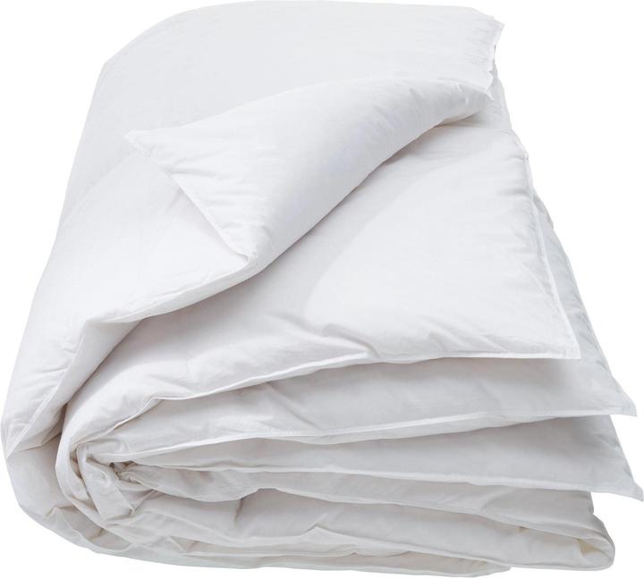 Interio Dream Fibre