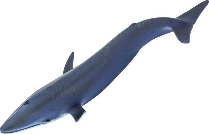 Image du produit Safari Baleine bleue