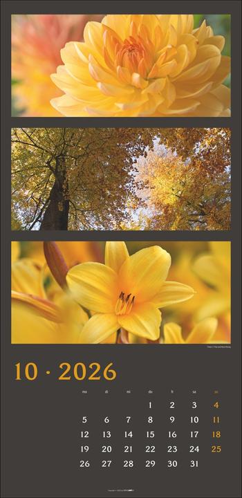 Produktbild Die Farben der Natur Kalender 2026 (33 x 68 cm, Deutsch)