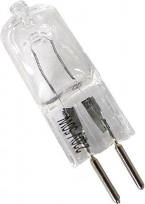 Dörr Einstellbirne 50W (gesteckt) (Blitzgerät Ersatzteile)