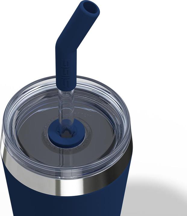 Image du produit Sigg Helia (0.45 l)