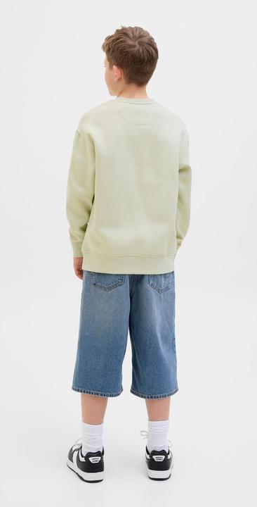 Actual product image Jack & Jones Gedruckt Sweatshirt Junior Sweatshirt (152)