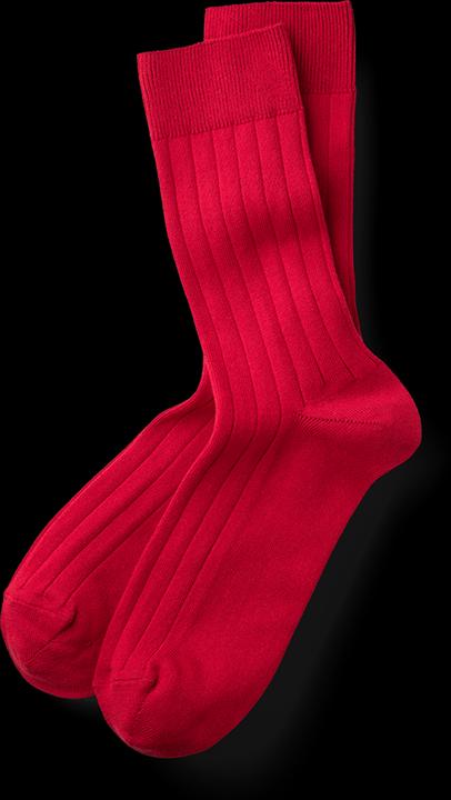 Blacksocks Wadensocken Classic (Einzelpack, 37 - 39)