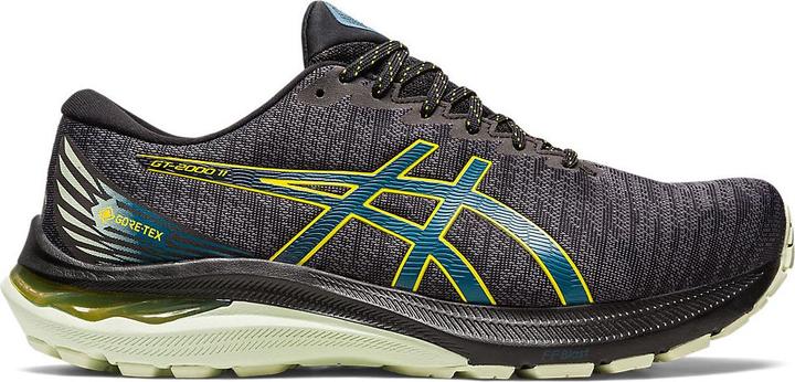 ASICS Performance GT-2000 11 GTX (44.5)
