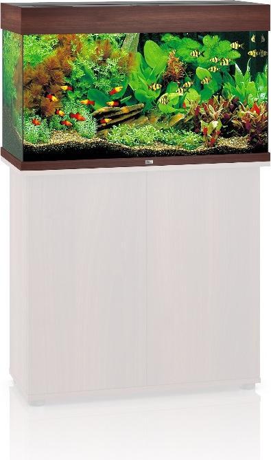 Actual product image Juwel Aquarium Rio (125 l)