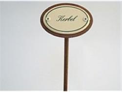 Image du produit Münder Plume d'épice cerfeuil (25 cm)