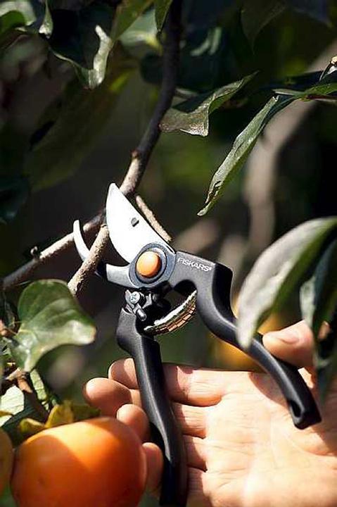 Actual product image Fiskars Garden Shears Bypass Pro 111960