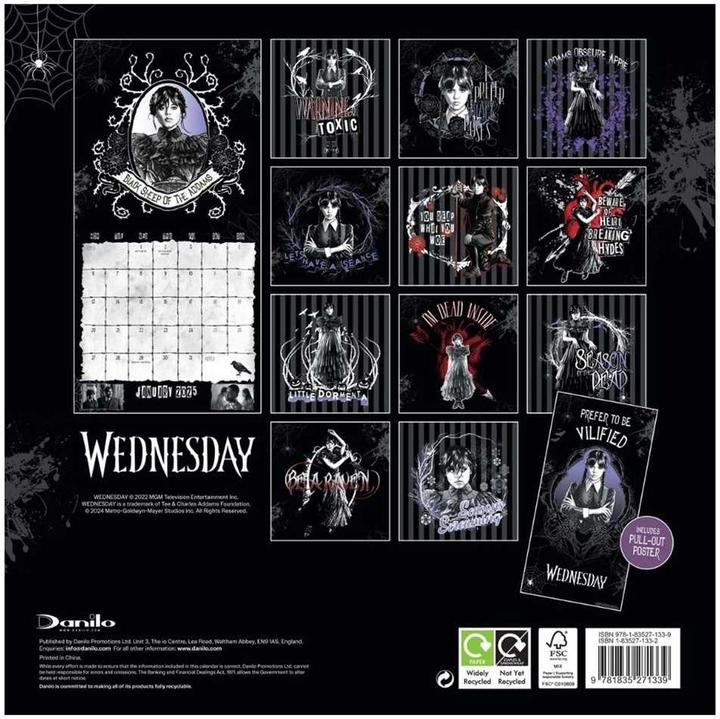 Actual product image Wednesday 2025 Wall Calendar (30 x 30 cm)