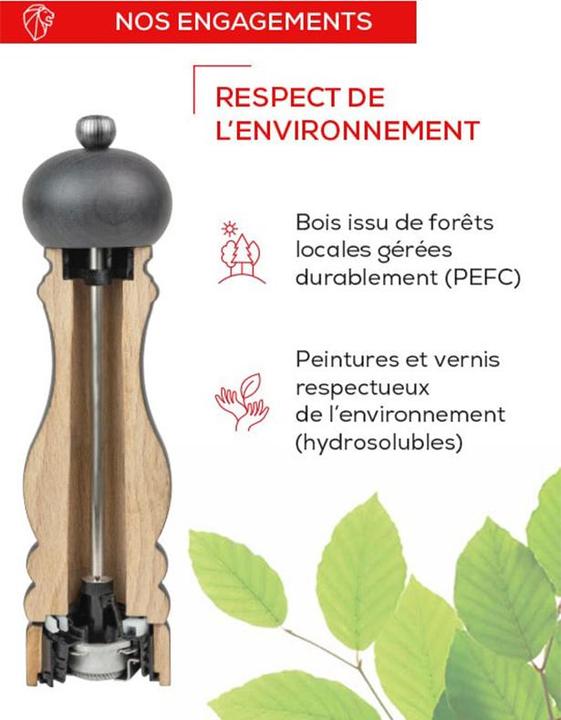Actual product image Peugeot Paris (Salt)