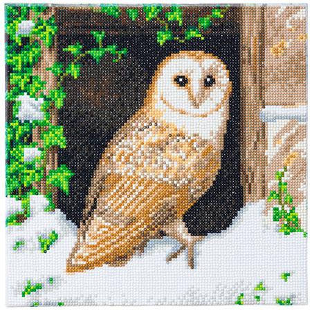 Immagine prodotto Craft Buddy Gufo delle nevi, 30x30cm Crystal Art Kit
