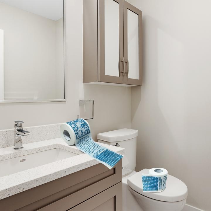 Actual product image Mad Monkey Toilet paper "Riddle"