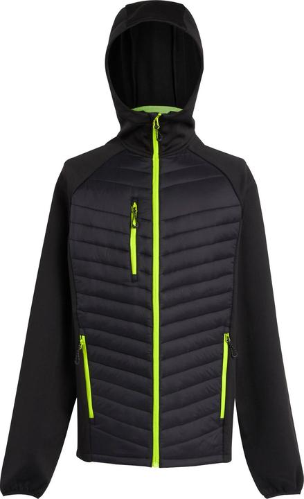 Actual product image Regatta Mens Navigate Quilted Hybrid Jacket (L)
