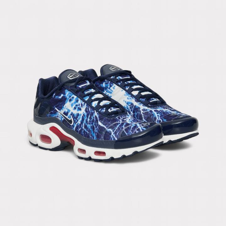 Actual product image Nike Air Max Plus (42)