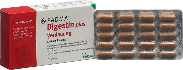 Actual product image Padma Digestin (60 Piece, Capsules, 59 g)
