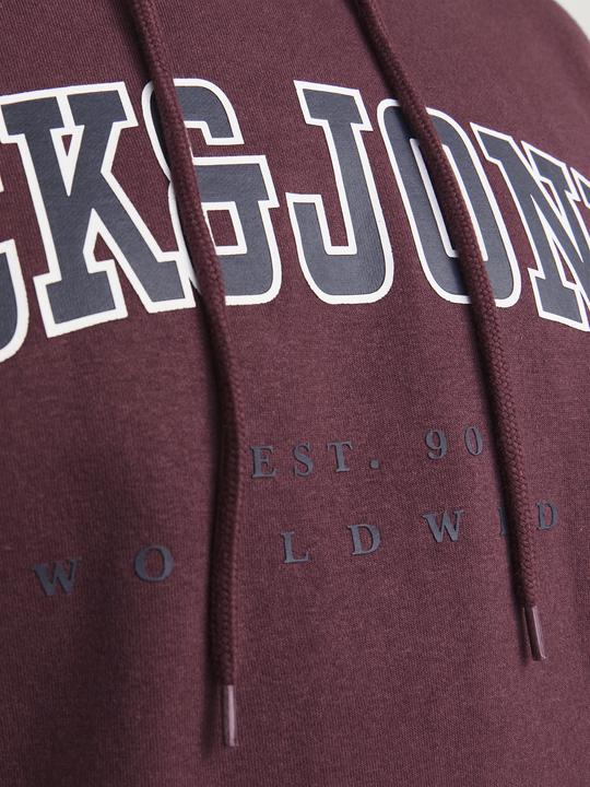 Immagine prodotto Jack & Jones Jjecaleb Varsity Sweat Hood Noos Pls (3XL)