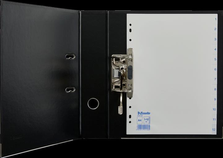Immagine prodotto Leitz Registri in plastica Esselte, numeri, A4, 1-12, perforazione universale bianca, dimensioni: (L)225