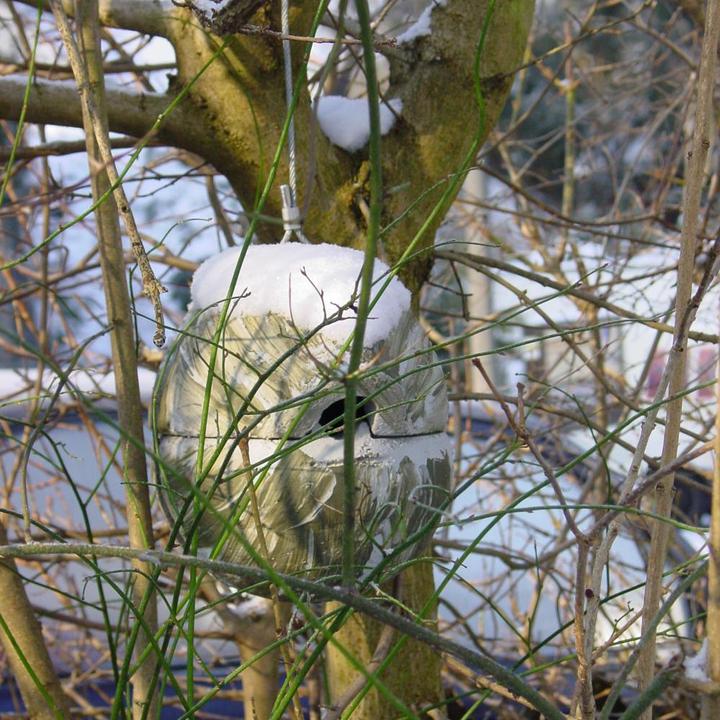 Actual product image Siena Garden Wren Nesting Ball 1ZA