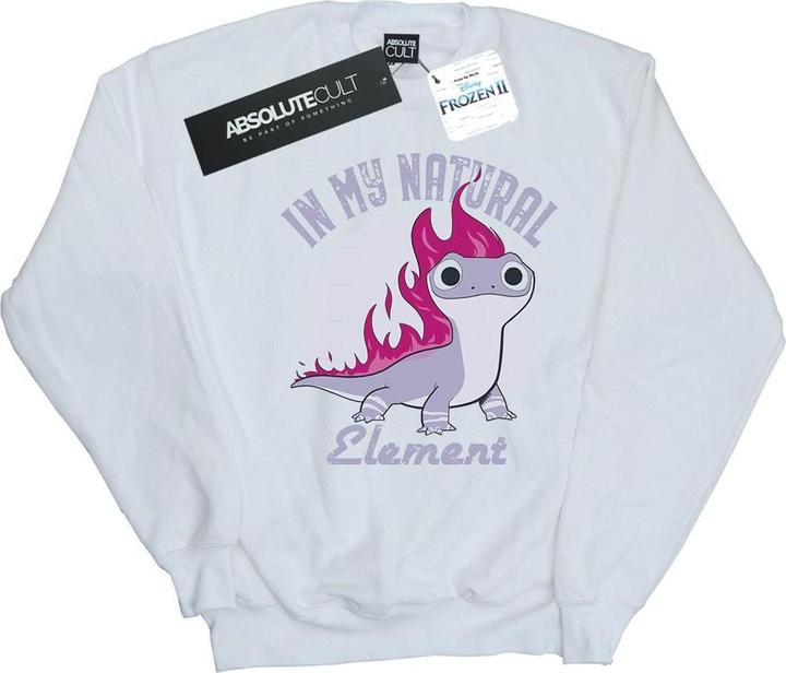 Produktbild Disney Frozen 2 Salamander Bruni Element Sweatshirt (4XL)