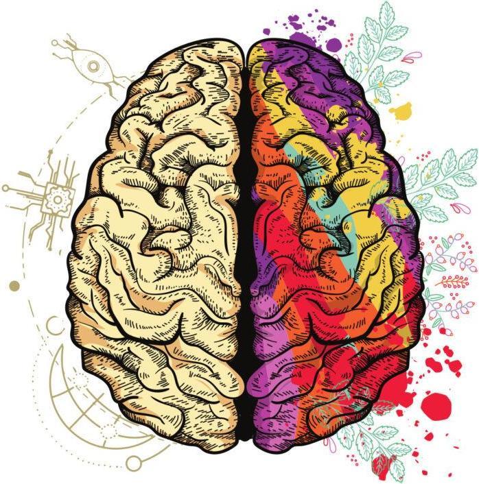 Produktbild Bügelbilder Bügelbild Brain