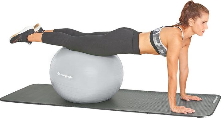 Produktbild Schildkröt Gymnastikball 65 cm (65 cm)