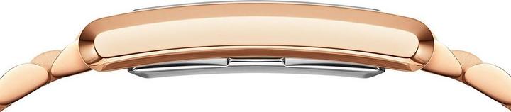 Actual product image Daniel Wellington - Bound 32x22 DW00100699