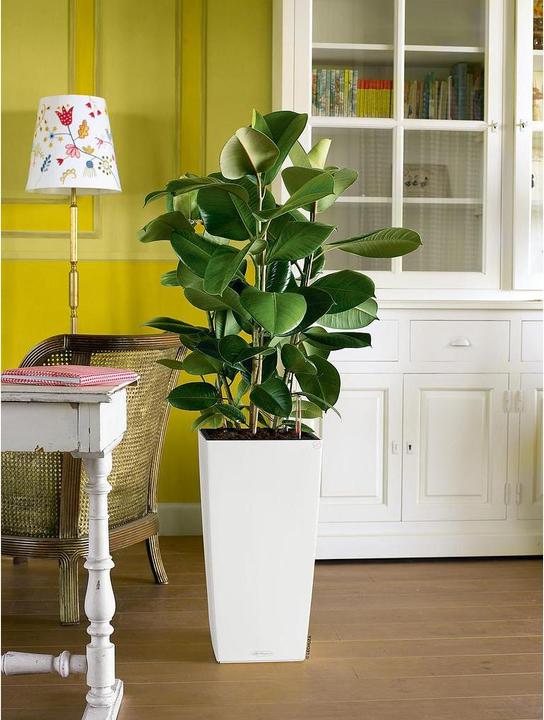 Produktbild Lechuza Cubico Color (39.50 cm)