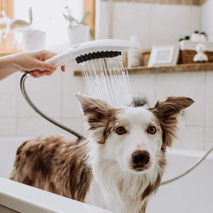 Immagine prodotto hansgrohe DogShower doccia per cani 150 3 tipi di getto Seleziona (3 Tipi di raggi, 7.60 l/min)